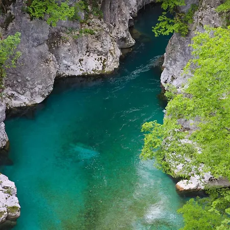 Plis Bujtina -